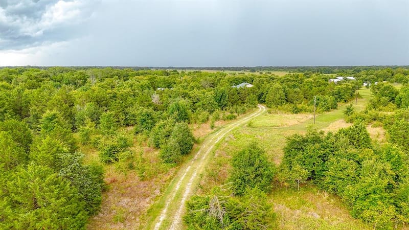 9982 County Road 4200, Kerens TX 75144 - Photo 24