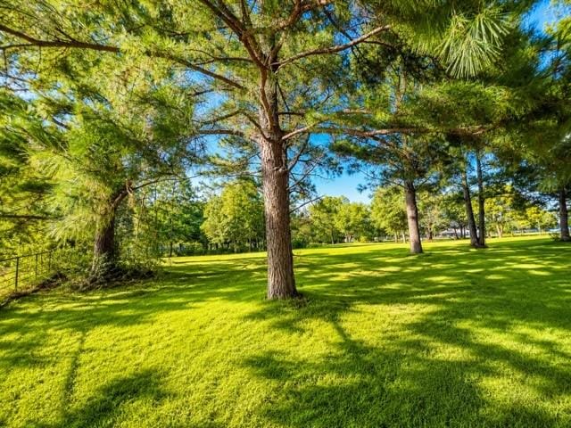 1817 County Road 3327, Greenville TX 75402 - Photo 8