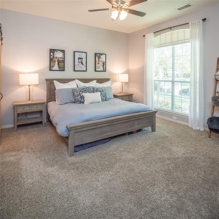 14709 Holly Leaf Drive, Frisco TX 75035 - Photo 23