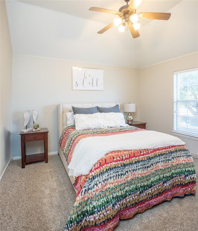 14709 Holly Leaf Drive, Frisco TX 75035 - Photo 27