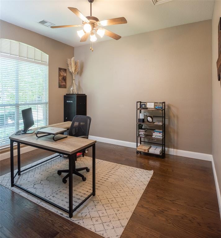 14709 Holly Leaf Drive, Frisco TX 75035 - Photo 30
