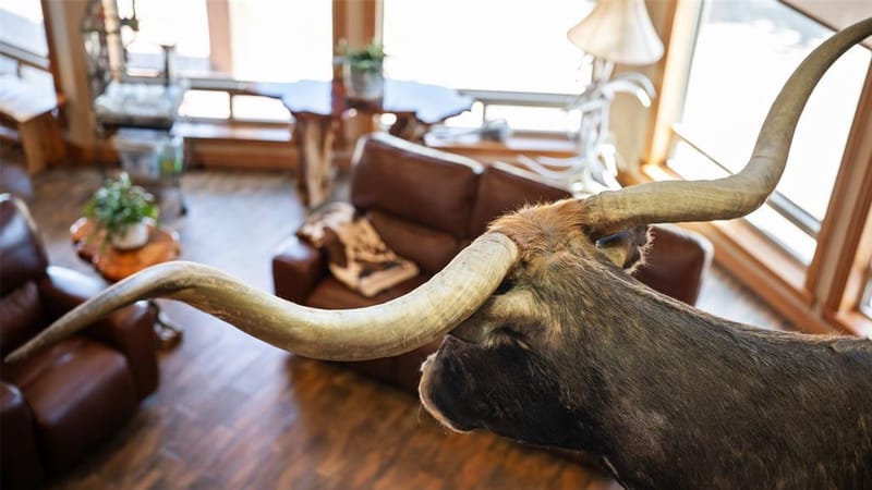 7999 County Road 151 # 177820, Kaufman TX 75142 - Photo 20