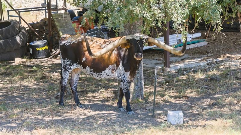 7999 County Road 151 # 177820, Kaufman TX 75142 - Photo 37