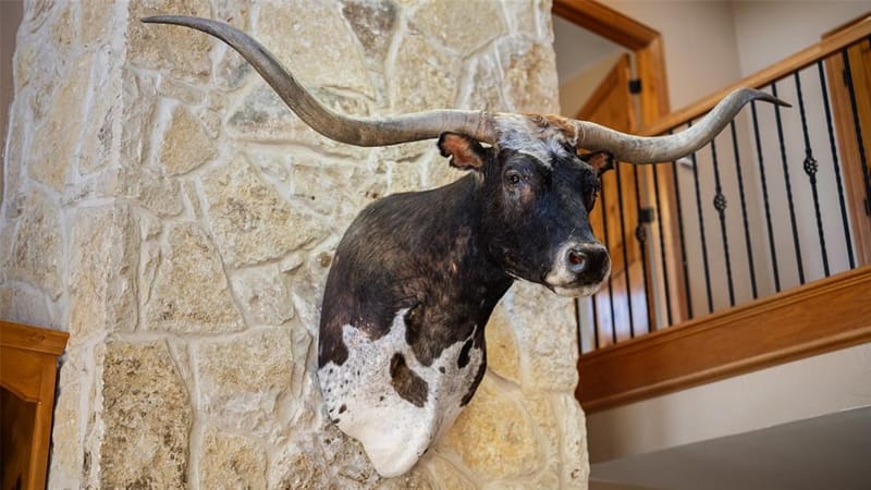 7999 County Road 151 # 177820, Kaufman TX 75142 - Photo 11