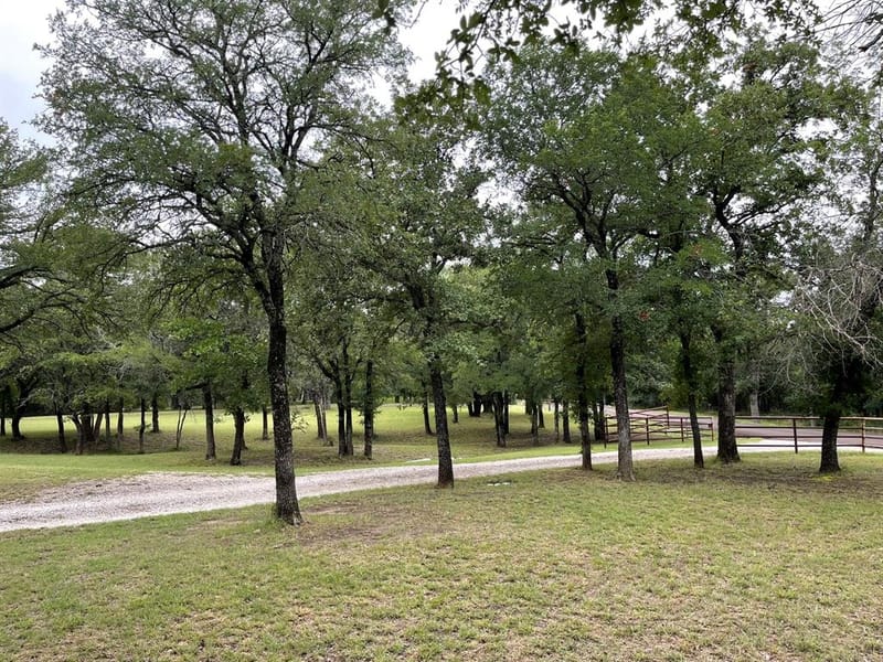 296 E Bluff Springs Road, Fort Worth TX 76108 - Photo 6