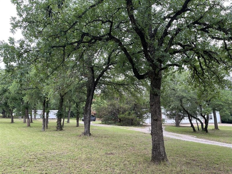 296 E Bluff Springs Road, Fort Worth TX 76108 - Photo 4