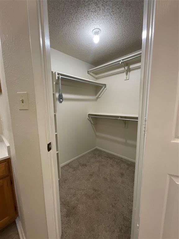 2332 Abbington Lane, Grand Prairie TX 75052 - Photo 14