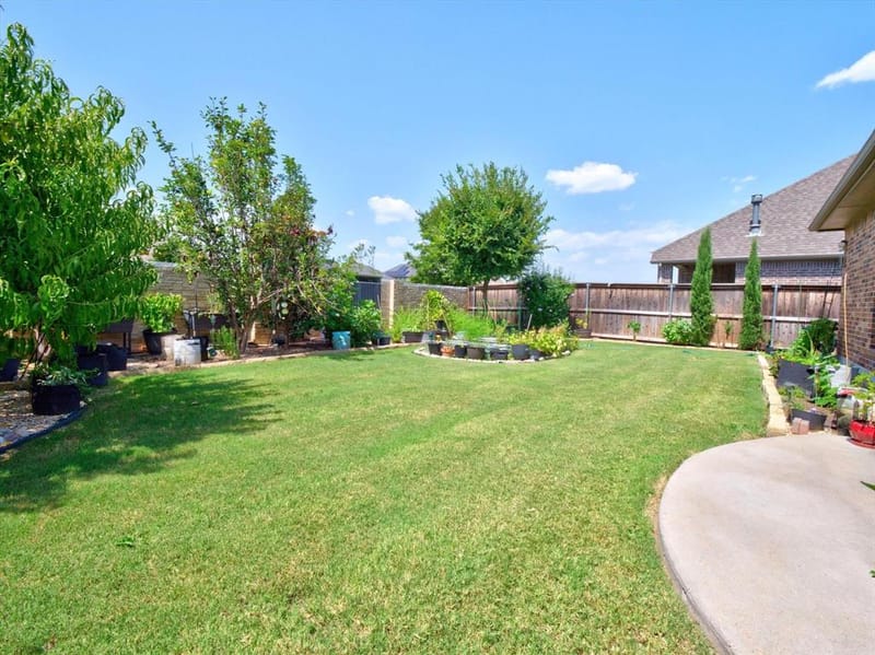 1005 Hubbard Creek Trail, McKinney TX 75071 - Photo 24