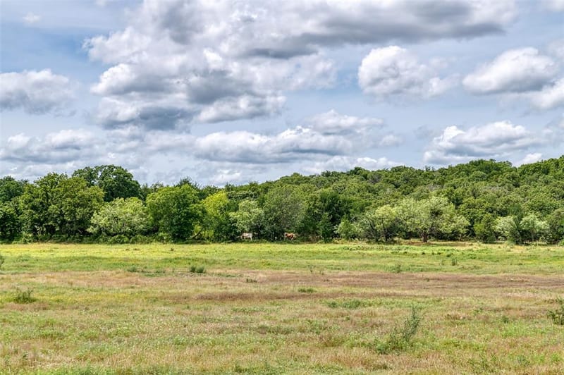 1000 Cool Ranch Lane, Millsap TX 76066 - Photo 35