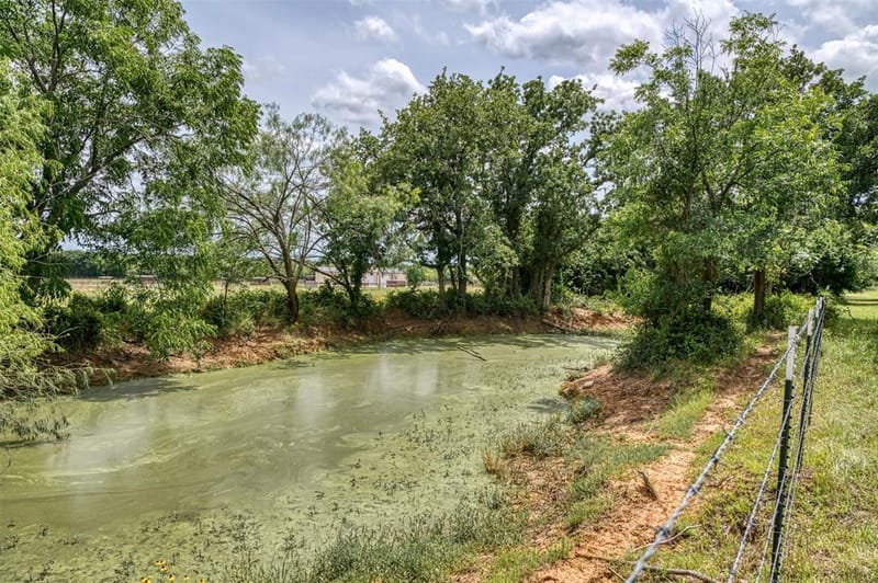1000 Cool Ranch Lane, Millsap TX 76066 - Photo 31