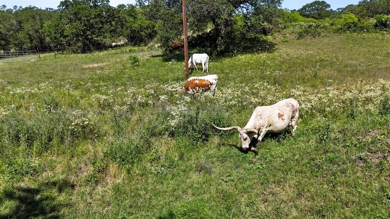 156 PR 3626, Springtown TX 76082 - Photo 32