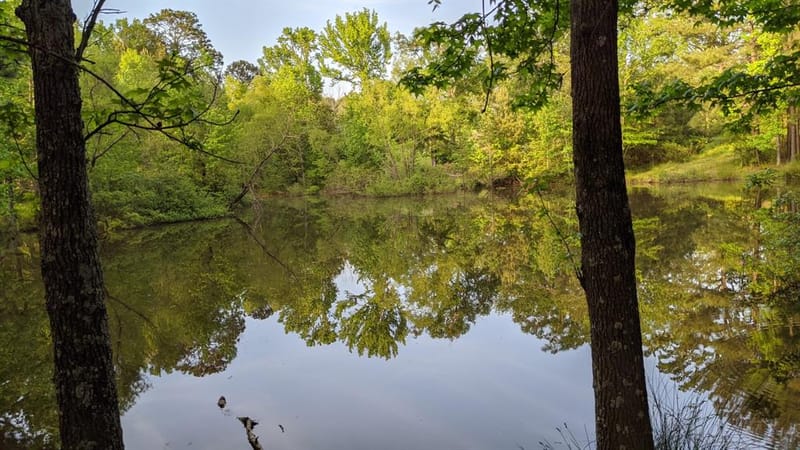 113 Breezy Road, Gibsland LA 71028 - Photo 27