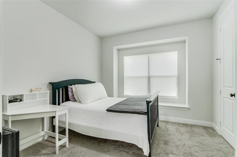 129 Mint Marigold Drive, Wylie TX 75098 - Photo 21