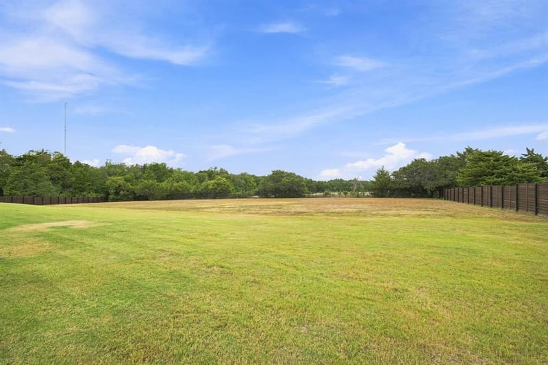 4411 Tea Olive Trail, Midlothian TX 76065 - Photo 39