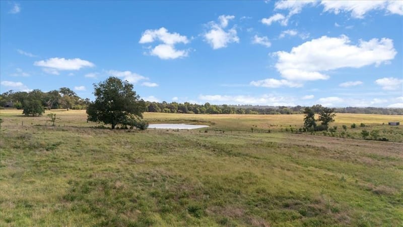 280 Vz County Road 4821, Chandler TX 75758 - Photo 20