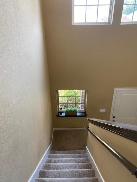 885 Levi Lane, Forney TX 75126 - Photo 13