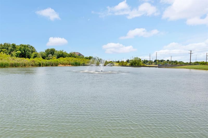 7444 Saint Petersburg Drive, Frisco TX 75036 - Photo 29