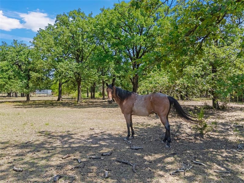 1047 Fort Hill Road, Waco TX 76705 - Photo 17