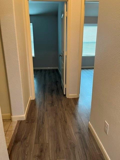 4665 Elderberry Street, Forney TX 75126 - Photo 3