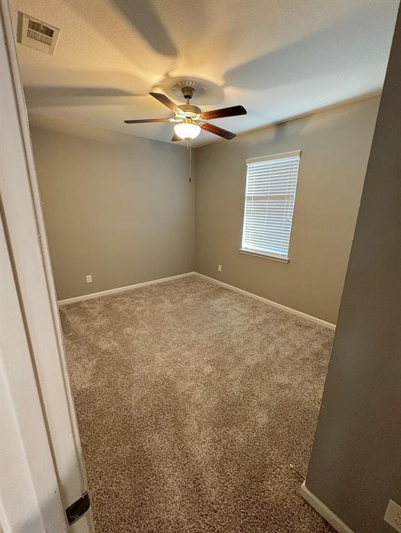 1592 Sugarberry Drive, Forney TX 75126 - Photo 19