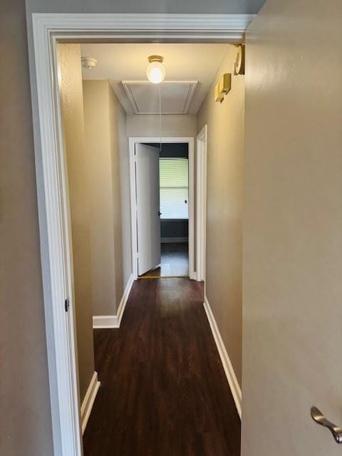 4722 Fallon Place, Dallas TX 75227 - Photo 10