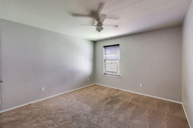 9004 Cloudveil Drive, Arlington TX 76002 - Photo 22