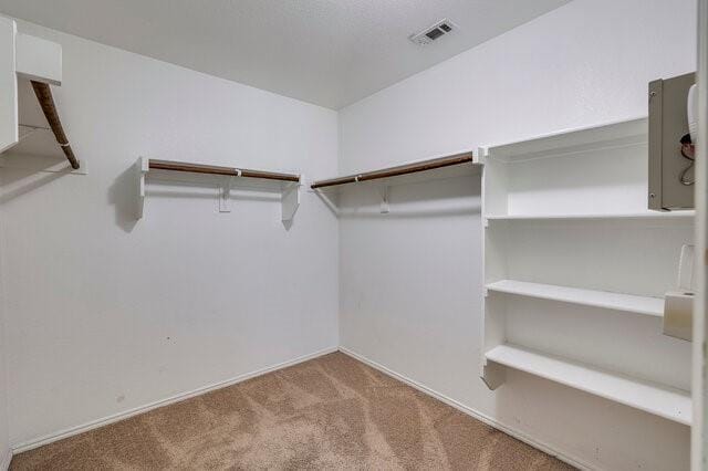 9004 Cloudveil Drive, Arlington TX 76002 - Photo 24