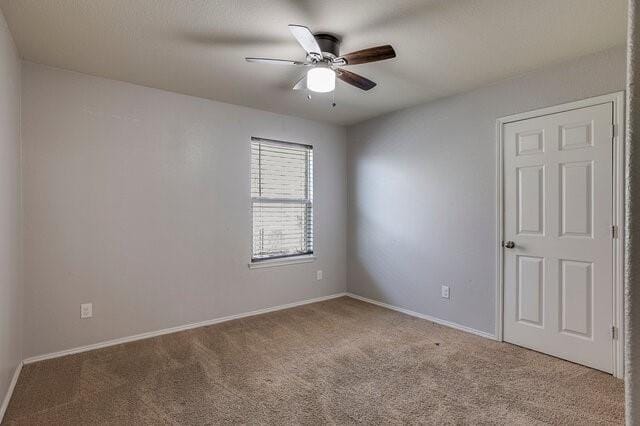 9004 Cloudveil Drive, Arlington TX 76002 - Photo 18