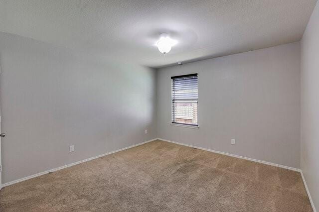 9004 Cloudveil Drive, Arlington TX 76002 - Photo 21