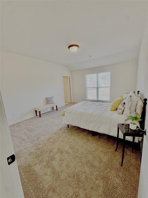 1003 Lakeshore Boulevard, Oak Point TX 75068 - Photo 17