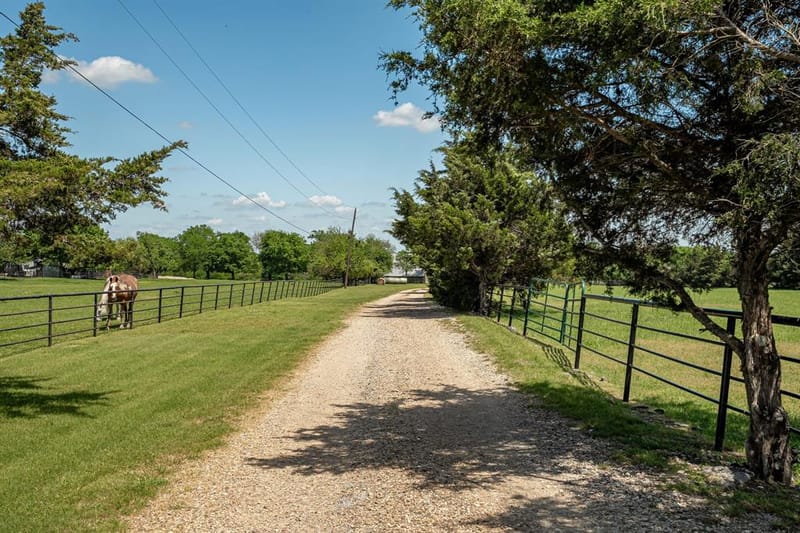 14392 State Highway 78 N, Blue Ridge TX 75424 - Photo 37