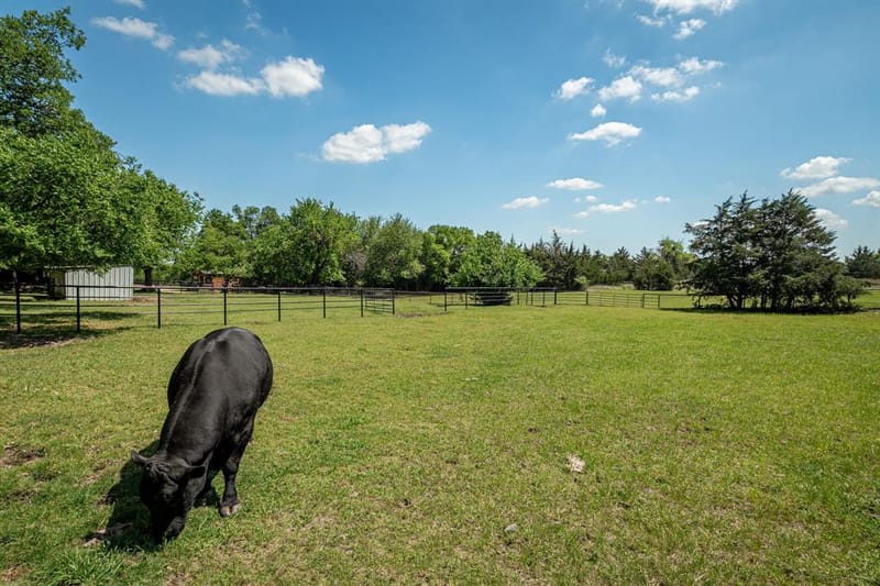 14392 State Highway 78 N, Blue Ridge TX 75424 - Photo 39