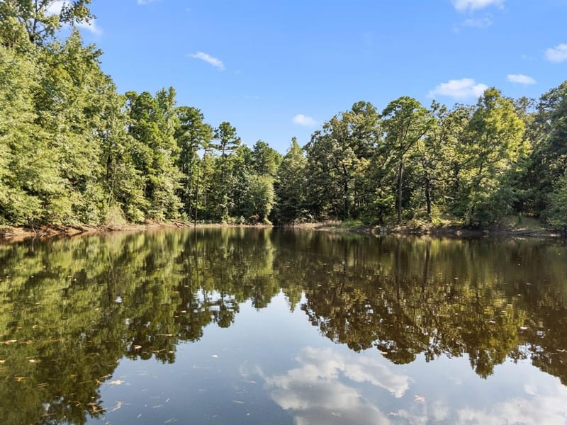 1081 County Road 3875, Mineola TX 75773 - Photo 7