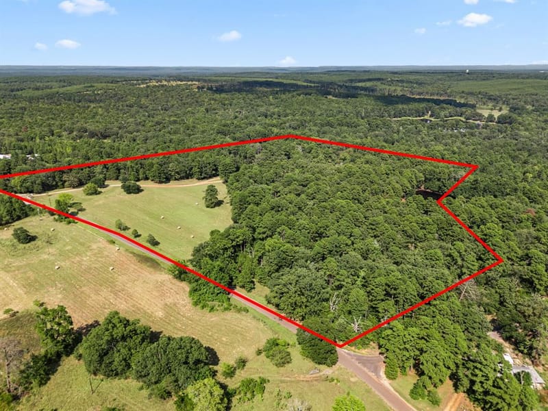 1081 County Road 3875, Mineola TX 75773