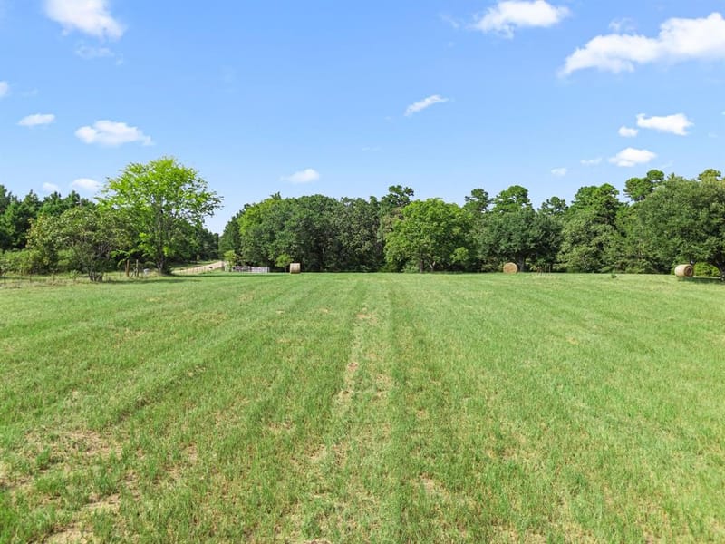 1081 County Road 3875, Mineola TX 75773 - Photo 5