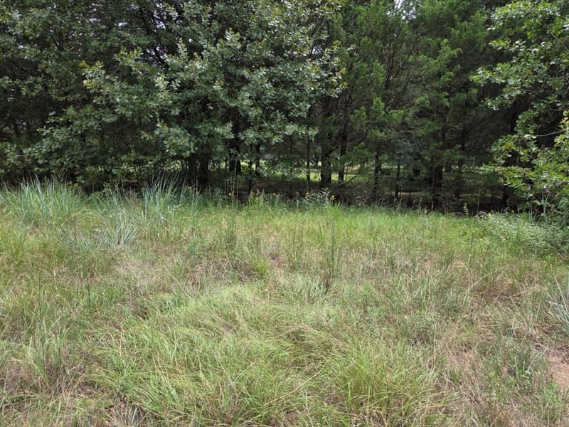 126 Tipps Road, Whitesboro TX 76273 - Photo 13
