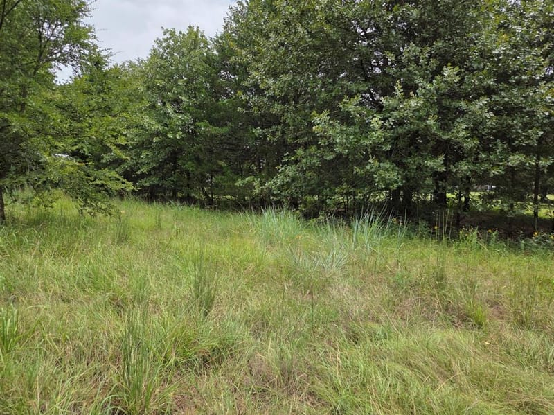 126 Tipps Road, Whitesboro TX 76273 - Photo 12