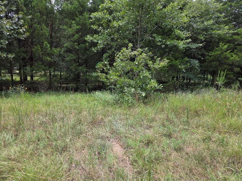 126 Tipps Road, Whitesboro TX 76273 - Photo 14