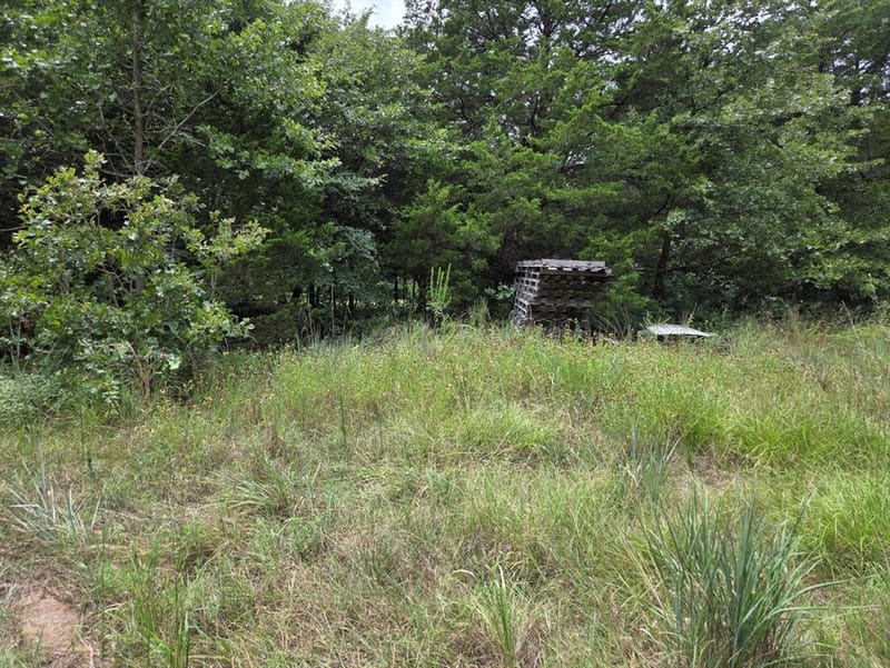 126 Tipps Road, Whitesboro TX 76273 - Photo 15