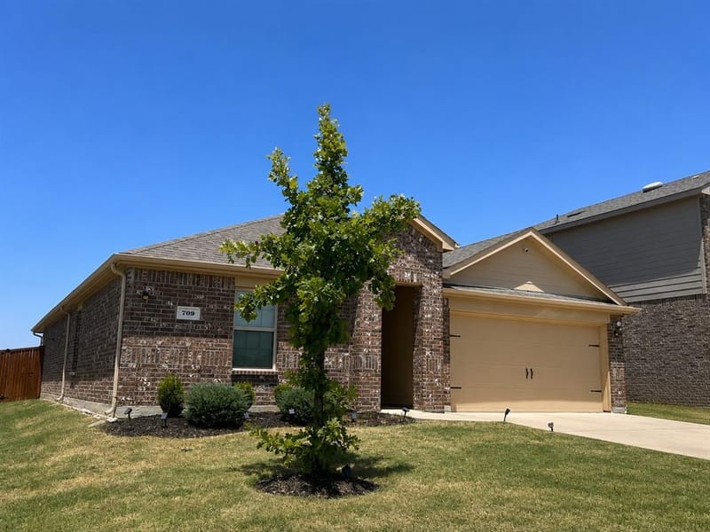 709 Glover Drive, Aubrey TX 76227 - Photo 3