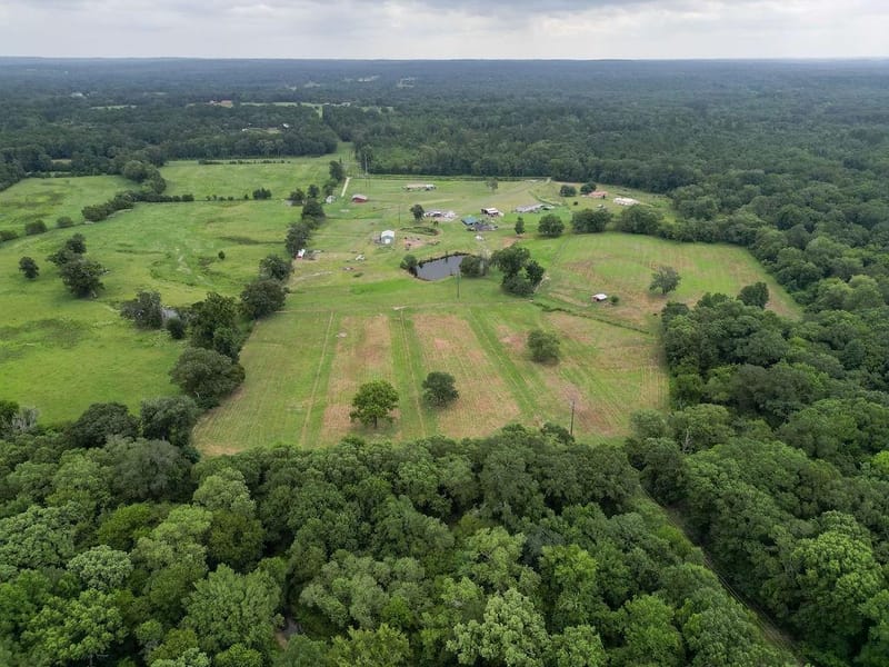 1509 County Road 3170, Quitman TX 75783 - Photo 22