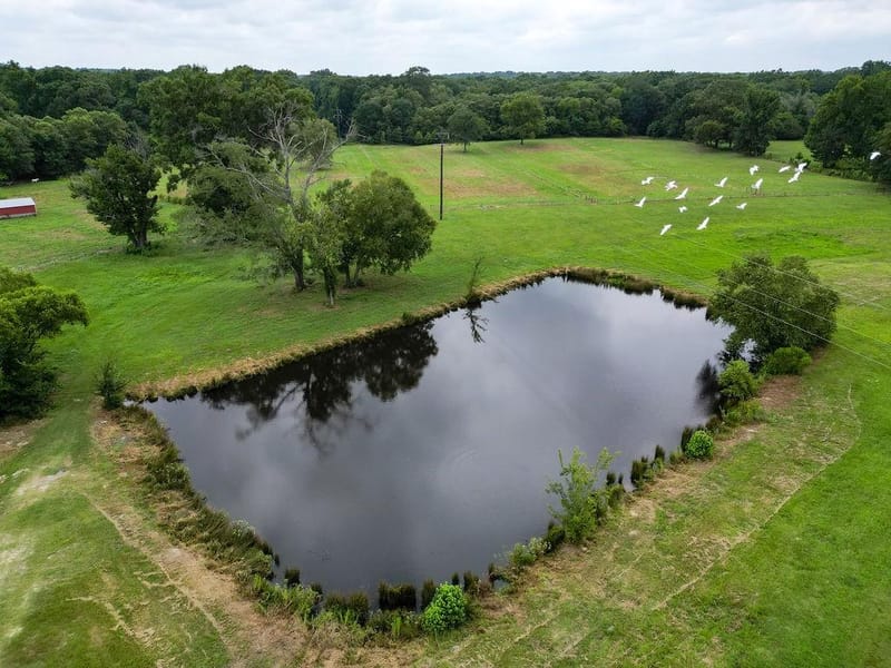 1509 County Road 3170, Quitman TX 75783 - Photo 21