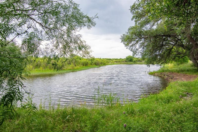 6187 FM 586 S, Bangs TX 76823 - Photo 32