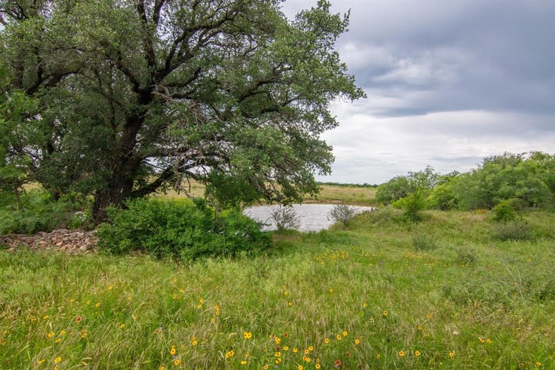 6187 FM 586 S, Bangs TX 76823 - Photo 30