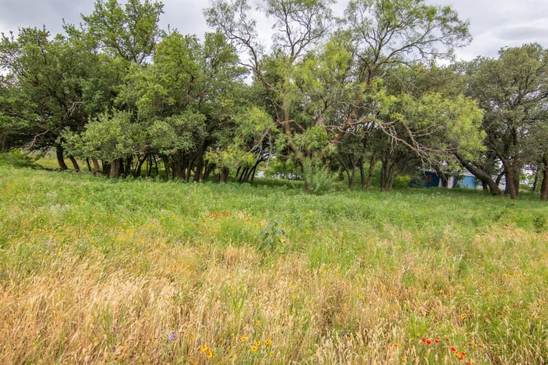6187 FM 586 S, Bangs TX 76823 - Photo 34