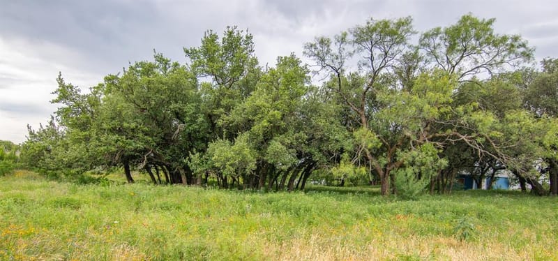6187 FM 586 S, Bangs TX 76823 - Photo 33