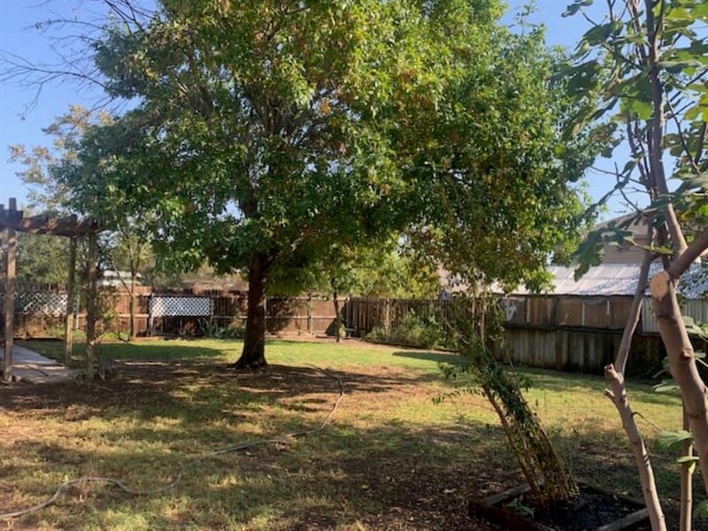 209 Meadow Lark Lane, Anna TX 75409 - Photo 6