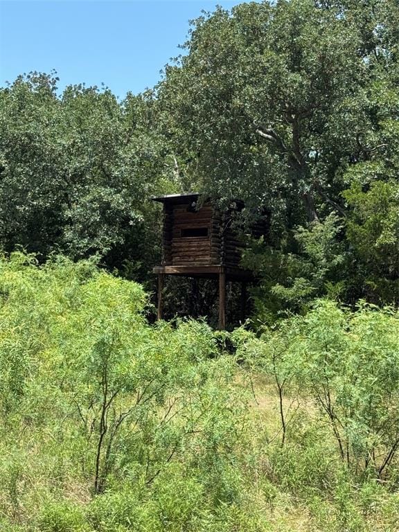 1205 Northshore Lane, Valley View TX 76272 - Photo 28