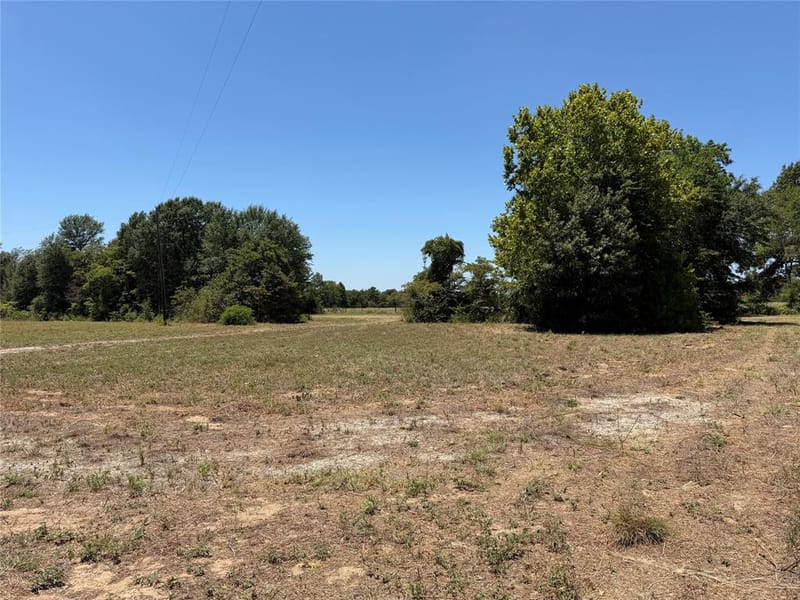 1288 Vz County Road 4414, Canton TX 75103 - Photo 2
