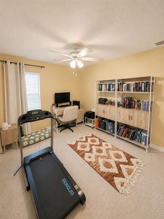1516 Canary Drive, Little Elm TX 75068 - Photo 22